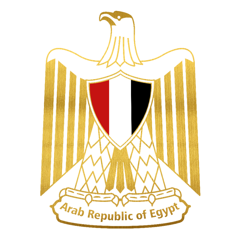 Car Accessories Egypt - Autocollant de voiture en vinyle sur